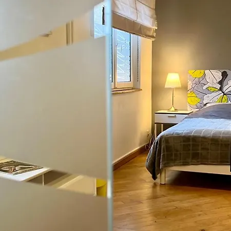 Magnifique 4 Personnes - 2 - 2 Sdb - Grande Terrasse Rue Des Tetes - Centre