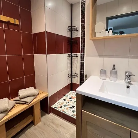 Magnifique 4 Personnes - 2 - 2 Sdb - Grande Terrasse Rue Des Tetes - Centre * Colmar