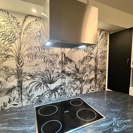 Apartment Magnifique 4 Personnes - 2 - 2 Sdb - Grande Terrasse Rue Des Tetes - Centre