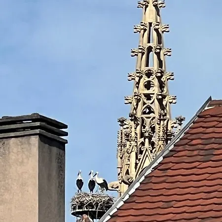 Magnifique 4 Personnes - 2 - 2 Sdb - Grande Terrasse Rue Des Tetes - Centre Colmar