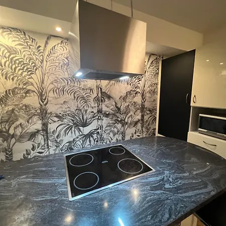 Magnifique 4 Personnes - 2 - 2 Sdb - Grande Terrasse Rue Des Tetes - Centre Colmar