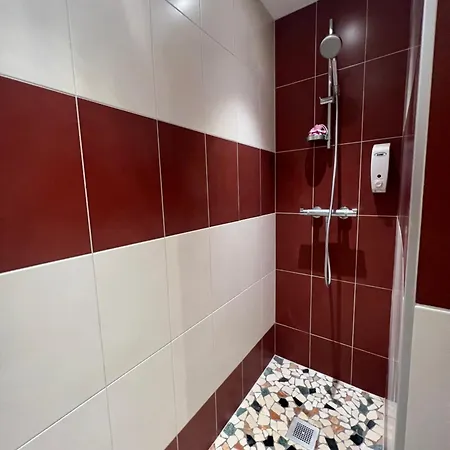 Magnifique 4 Personnes - 2 - 2 Sdb - Grande Terrasse Rue Des Tetes - Centre Colmar