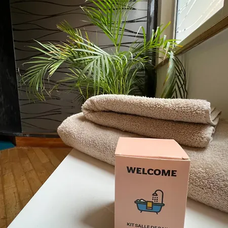 Magnifique 4 Personnes - 2 - 2 Sdb - Grande Terrasse Rue Des Tetes - Centre Colmar