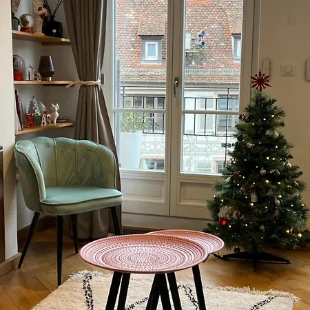 Apartment Magnifique 4 Personnes - 2 - 2 Sdb - Grande Terrasse Rue Des Tetes - Centre Colmar